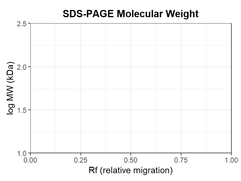 SDS-PAGE分子量推定