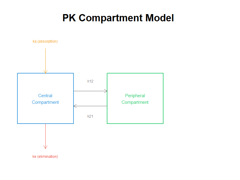 PKコンパートメントモデル図
